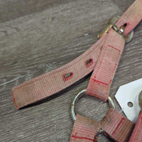 Hvy Stiff Nylon Halter *gc/fair, stains, faded, rubs, scrapes, frays, rusty
