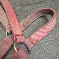 Hvy Stiff Nylon Halter *gc/fair, stains, faded, rubs, scrapes, frays, rusty
