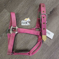 Hvy Thick Nylon Halter *gc, dirty, stains, rubs, faded
