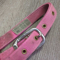 Hvy Thick Nylon Halter *gc, dirty, stains, rubs, faded
