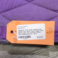Thick Quilt Jumper Pad, piping *fair, clean, holey edges, pills, rubs, faded, mnr puckers, stains, hair
