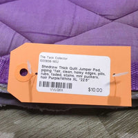 Thick Quilt Jumper Pad, piping *fair, clean, holey edges, pills, rubs, faded, stains, mnr puckers, hair
