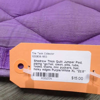 Thick Quilt Jumper Pad, piping *gc/fair, clean, pills, rubs, faded, stains, mnr puckers, hair, holey edges

