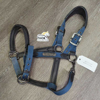 Padded Leather & Nylon Halter, adj, snap *gc, clean?, residue, mnr dirt, wrinkles, rubs, mnr hair
