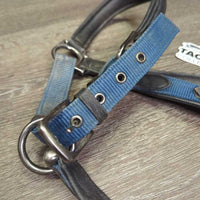 Padded Leather & Nylon Halter, adj, snap *gc, clean?, residue, mnr dirt, wrinkles, rubs, mnr hair
