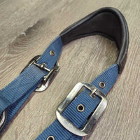 Padded Leather & Nylon Halter, adj, snap *gc, clean?, residue, mnr dirt, wrinkles, rubs, mnr hair
