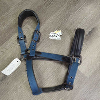 Padded Leather & Nylon Halter, adj, snap *gc, clean?, residue, mnr dirt, wrinkles, rubs, mnr hair
