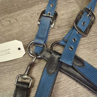 Padded Leather & Nylon Halter, adj, snap *gc, clean?, residue, mnr dirt, wrinkles, rubs, mnr hair
