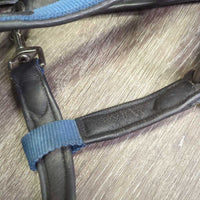 Padded Leather & Nylon Halter, adj, snap *gc, clean?, residue, mnr dirt, wrinkles, rubs, mnr hair
