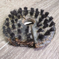 "Fennel"? Leather Back Bristle Bit Burr *fair, chews, film, residue
