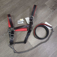 {added Leather Halter, adj, snap & Leather Chain Lead Shank *vgc, dirty
