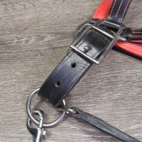 {added Leather Halter, adj, snap & Leather Chain Lead Shank *vgc, dirty
