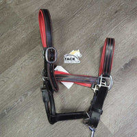 {added Leather Halter, adj, snap & Leather Chain Lead Shank *vgc, dirty
