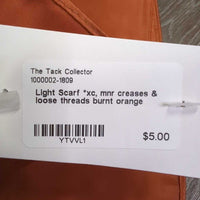 Light Scarf *xc, mnr creases & loose threads
