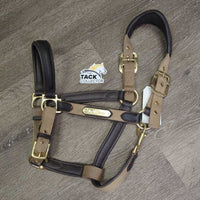 Nylon & Padded Leather Halter, snap, adj *vgc, dirt?stains, residue, mnr scrapes & edge rubs, scratches
