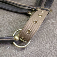 Nylon & Padded Leather Halter, snap, adj *vgc, dirt?stains, residue, mnr scrapes & edge rubs, scratches
