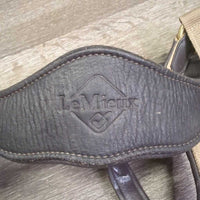 Nylon & Padded Leather Halter, snap, adj *vgc, dirt?stains, residue, mnr scrapes & edge rubs, scratches
