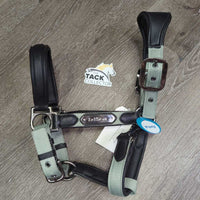 Padded Nylon & Leather Halter, snap, adj *xc/vgc, mnr scuffs
