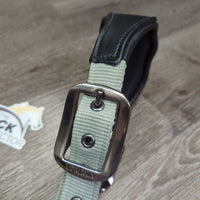 Padded Nylon & Leather Halter, snap, adj *xc/vgc, mnr scuffs
