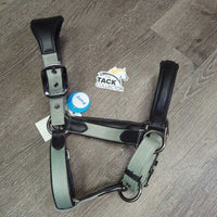 Padded Nylon & Leather Halter, snap, adj *xc/vgc, mnr scuffs
