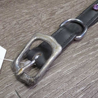 Bling & Padded Leather Dog Collar *new, v.dirt?stained buckle
