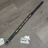 Bling & Padded Leather Dog Collar *new, missing bling
