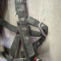 Wide Thick Nylon Web Nutcracker Lungeing Cavesson *gc, older, dirty, hairy, rubs, stains, mnr rust
