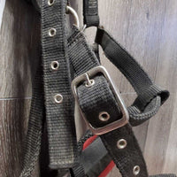 Wide Thick Nylon Web Nutcracker Lungeing Cavesson *gc, older, dirty, hairy, rubs, stains, mnr rust
