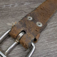 Thin 1.5" Wide Back Cinch *gc, scratches, scrapes, loose keepers
