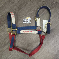 Thick Stiff Nylon Halter "Congress 1990" *vgc, mnr dirt, edge rubs, stains & rubs
