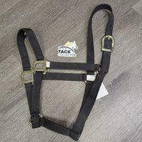 Thin Nylon Halter *vgc, mnr dusty, dirty, edge rubs & stains
