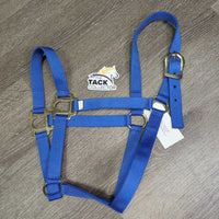 Thin Nylon Halter *vgc/xc, clean, mnr dusty, rubs & stains
