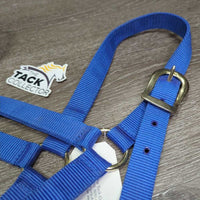 Thin Nylon Halter *vgc/xc, clean, mnr dusty, rubs & stains
