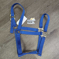 Thin Nylon Halter *vgc/xc, clean, mnr dusty, rubs & stains
