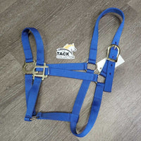 Thin Nylon Halter *vgc/gc, mnr dust, dirt & stains
