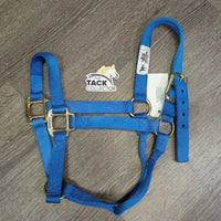 Thick Stiff Nylon Halter *vgc/gc, v.mnr dust & stains
