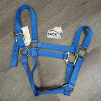 Thick Stiff Nylon Halter *vgc/gc, v.mnr dust & stains

