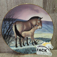 "Przewalski's Horse" Decorative Plate #10166D *vgc, dirty, residue, stains

