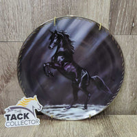 "Dark Splendor" by Kim McElroy #482B Decorative Plate, Hanger *vgc, dirty, residue, stains
