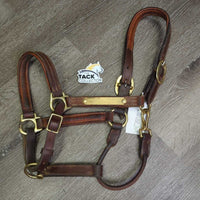 Padded Thick Soft Leather Halter, ajd, snap, blank name plate *vgc/gc, v.dirty/jockies, residue, scraped edges, rubs

