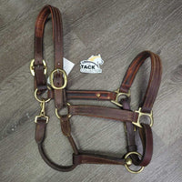 Padded Thick Soft Leather Halter, ajd, snap, blank name plate *vgc/gc, v.dirty/jockies, residue, scraped edges, rubs
