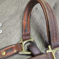 Padded Thick Soft Leather Halter, ajd, snap, blank name plate *vgc/gc, v.dirty/jockies, residue, scraped edges, rubs
