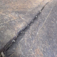 Wool Endurance Pad, wear leathers *gc, v. hairy, dirt, film, rubs, mnr unstitched, dents, scrapes

