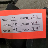 Suede Full Chaps *xc, clean, rubs?fading
