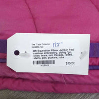 Pillow Jumper Pad, rainbow embroidery, piping *gc, clean, tears, mnr threads, faded, stains, pills, puckers, rubs

