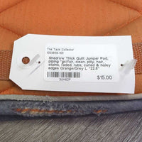 Thick Quilt Jumper Pad, piping *gc/fair, clean, pilly, hair, stains, faded, rubs, curled & holey edges
