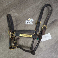 Leather Halter, nameplate *fair, dingy, rubs, chews, taped/broken snap, torn end
