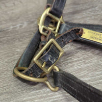 Leather Halter, nameplate *fair, dingy, rubs, chews, taped/broken snap, torn end
