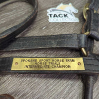 Leather Halter, nameplate *fair, dingy, rubs, chews, taped/broken snap, torn end
