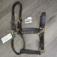 Leather Halter, nameplate *fair, dingy, rubs, chews, taped/broken snap, torn end
